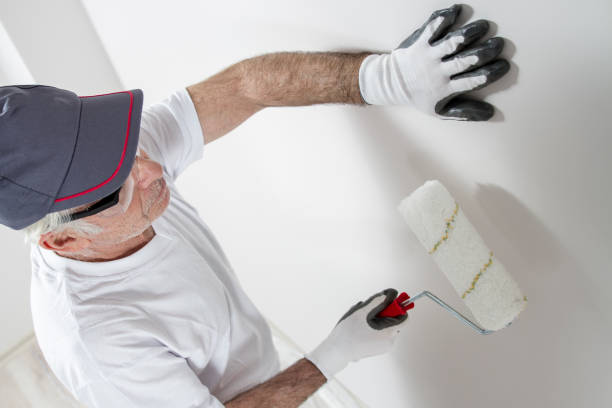 Best Drywall Sanding and Smoothing  in Pembroke Park, FL