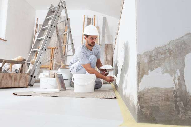 Best Eco-Friendly and Low-VOC Painting  in Pembroke Park, FL